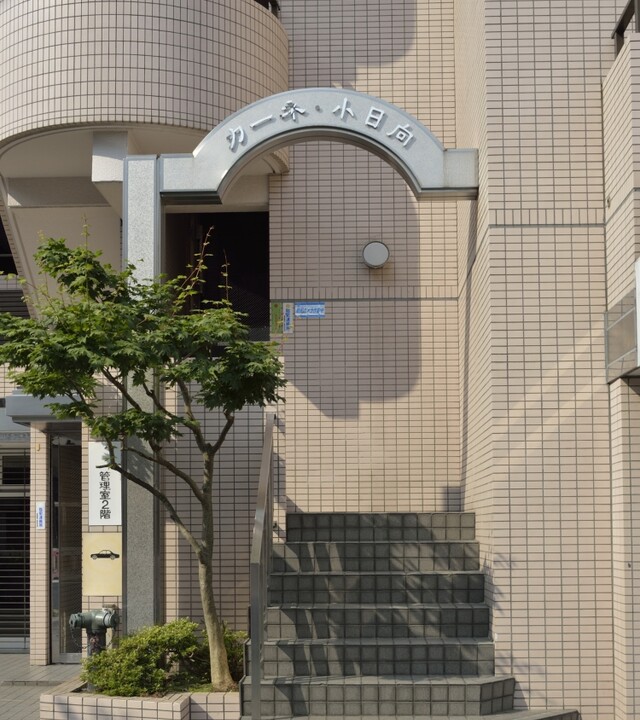 カーネ小日向の写真 10枚目