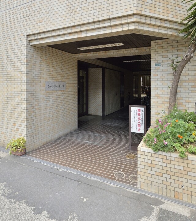 シャンボール白山の写真 5枚目