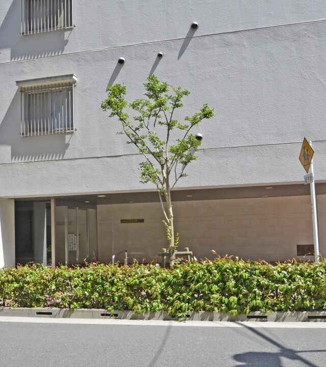 日商岩井日本橋浜町マンションの写真 10枚目