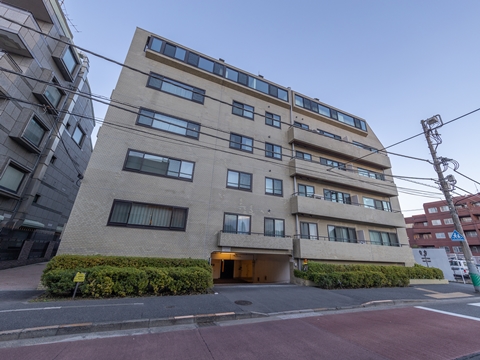 元麻布パークマンションの写真 6枚目