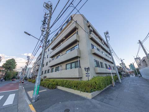 元麻布パークマンションの写真 9枚目