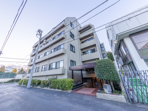 元麻布パークマンションの写真 10枚目