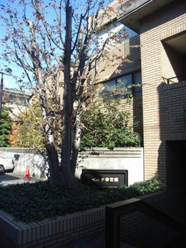 ベルテ参宮橋の写真 19枚目