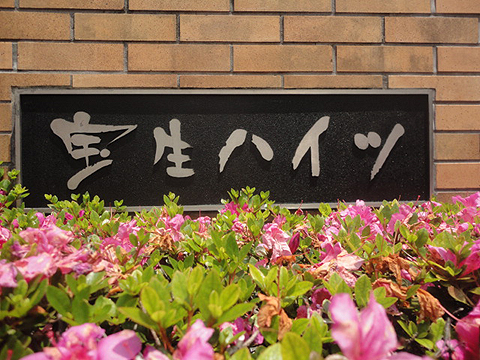 宝生ハイツの写真 12枚目