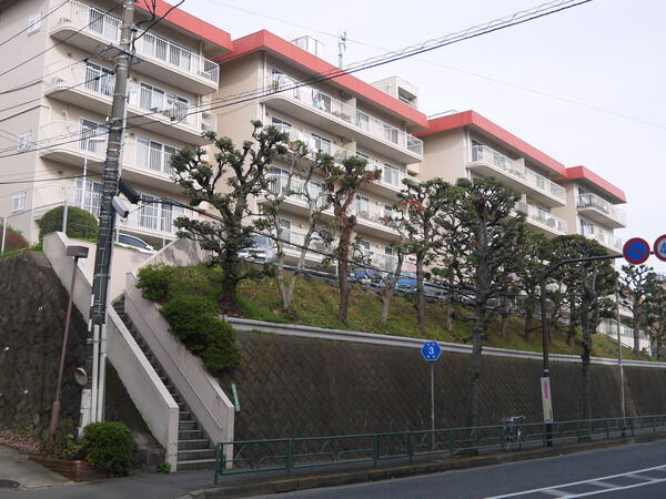 成城ハウスの写真 4枚目