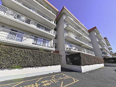 成城ハウスの写真 10枚目