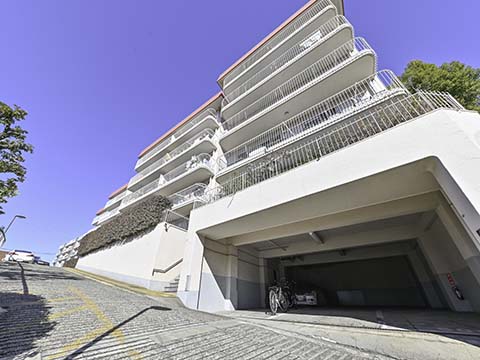 成城ハウスの写真 13枚目