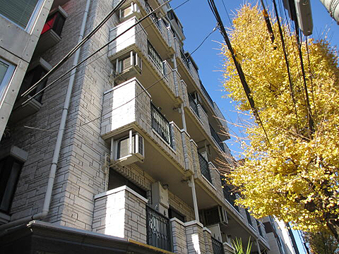 パークサイド白鳳代々木公園の写真 7枚目