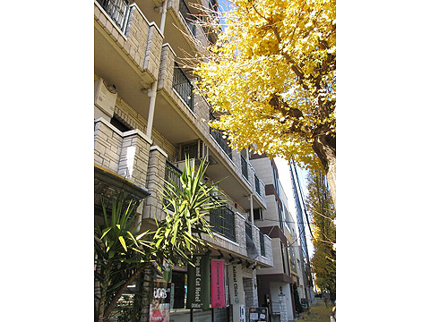 パークサイド白鳳代々木公園の写真 8枚目