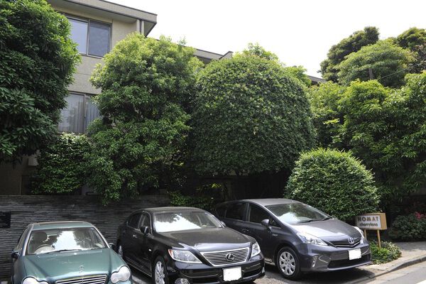 ホーマットチェリーレーンの写真 3枚目