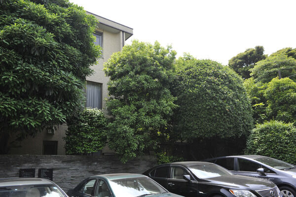 ホーマットチェリーレーンの写真 5枚目