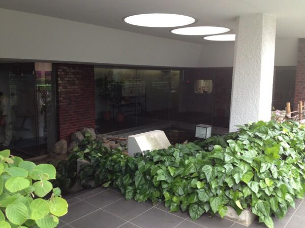 南青山アパートメンツの写真 3枚目