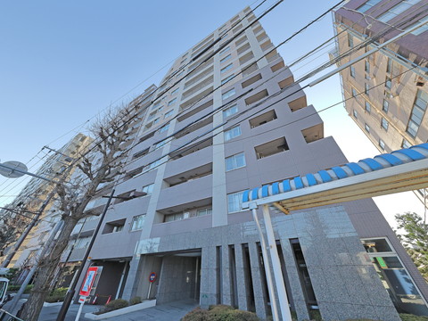 ヒルズ本駒込山の手台の写真 12枚目