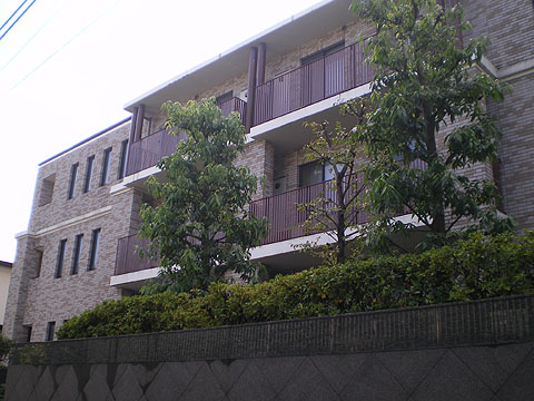 プレステージ代々木大山町の写真 11枚目