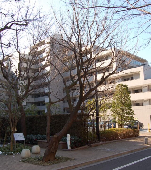 ルネ成城の写真 10枚目