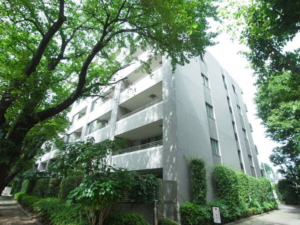 ルネ成城の写真 13枚目