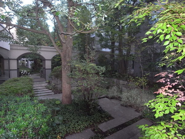 グランドメゾン等々力の写真 14枚目