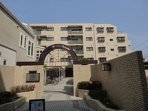 ライオンズマンション千石の写真 13枚目