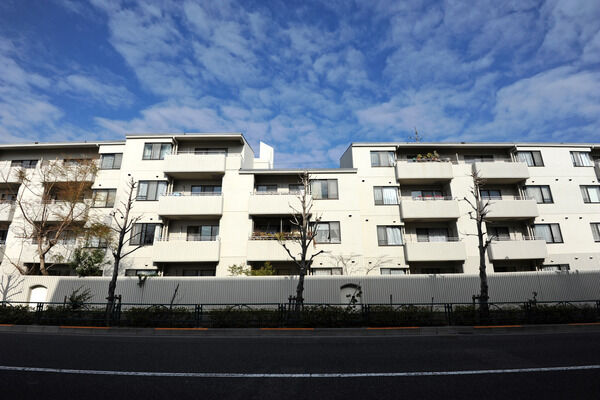 パークハイム上野毛の写真 3枚目