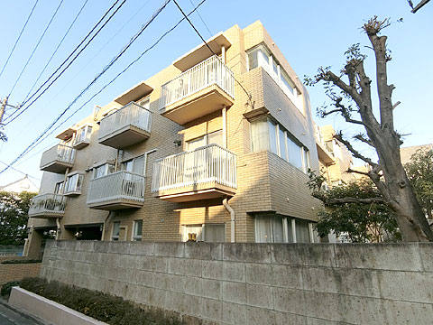 松濤ナショナルコートの写真 3枚目