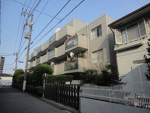 パークハイム白山の写真 11枚目