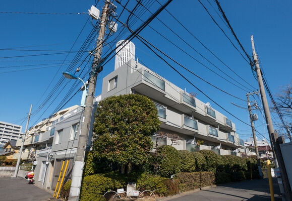 パークハイム白山の写真 8枚目