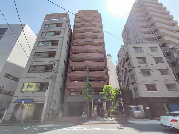 ライオンズステージ麻布の写真 4枚目