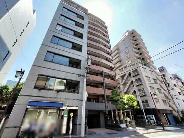 ライオンズステージ麻布の写真 5枚目