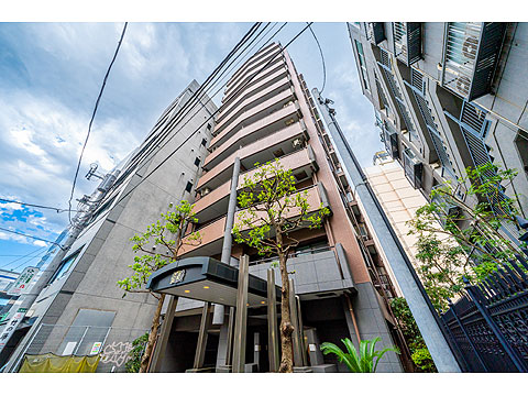 ライオンズステージ麻布の写真 9枚目