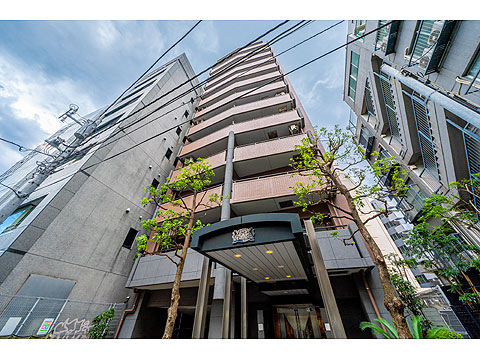 ライオンズステージ麻布の写真 11枚目