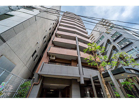 ライオンズステージ麻布の写真 12枚目