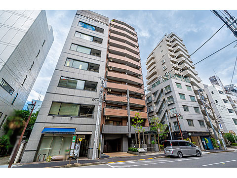 ライオンズステージ麻布の写真 13枚目