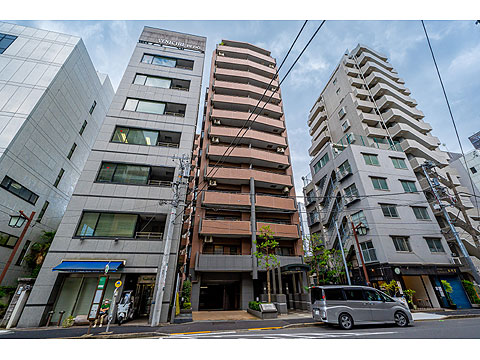 ライオンズステージ麻布の写真 14枚目