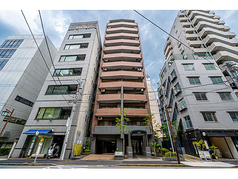 ライオンズステージ麻布の写真 15枚目