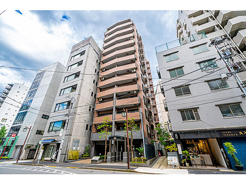 ライオンズステージ麻布の写真 16枚目