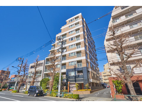 グランスイート文京小石川の写真 11枚目