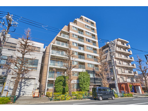 グランスイート文京小石川の写真 13枚目