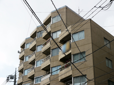 ラポール上野毛の写真 14枚目