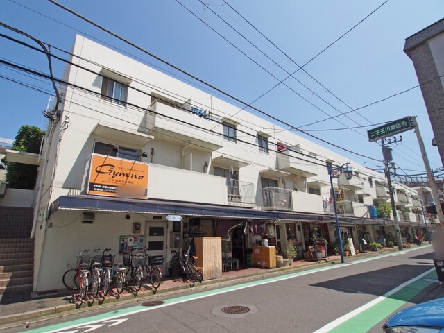 玉川三丁目マンションのエントランス・共用部