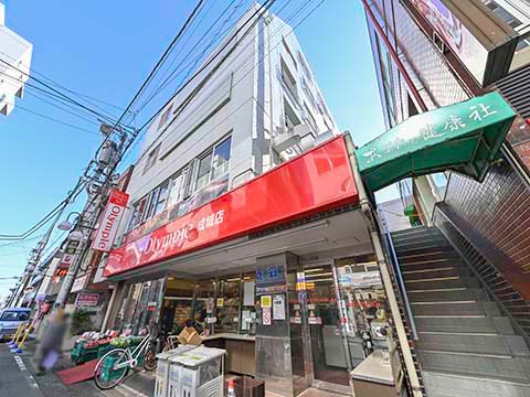 成城ダイヤハイツの写真 10枚目