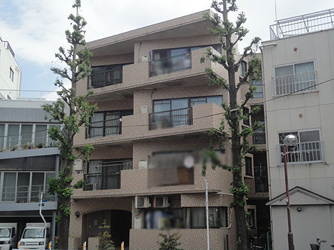 目白台芙蓉ハイツの写真 11枚目