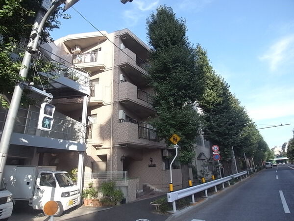 目白台芙蓉ハイツの写真 4枚目