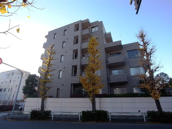 パークコート等々力の写真 5枚目