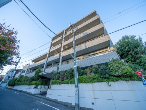 パークコート等々力の写真 14枚目