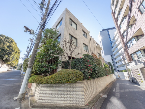 南麻布ハウスの写真 5枚目