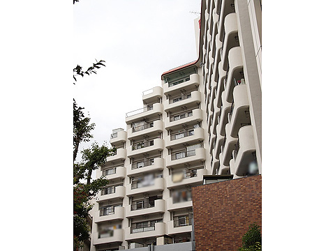 永谷ヒルプラザ六本木の写真 11枚目