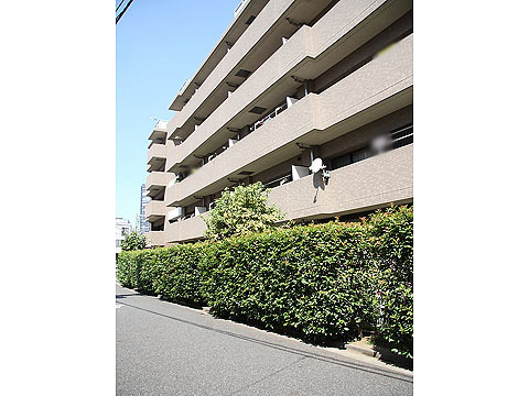 ハイシティ白金の写真 4枚目