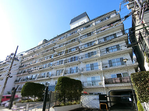 秀和第二南平台レジデンスの写真 3枚目