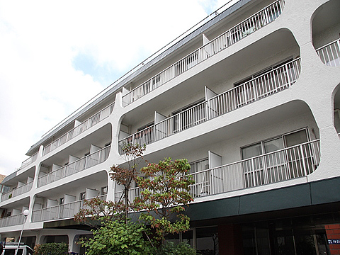 南青山スカイハイツの写真 11枚目