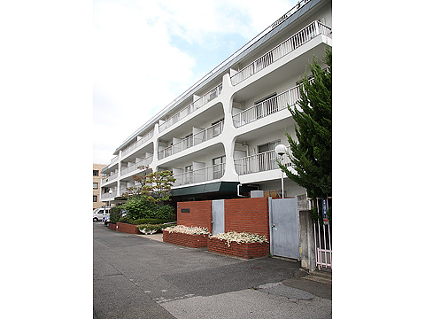 南青山スカイハイツの写真 13枚目